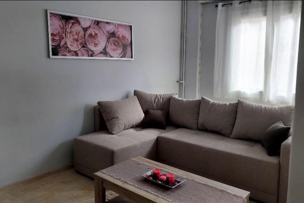 Nephiria'S Cozy Apt In Kerkira! Daire Korfu Dış mekan fotoğraf